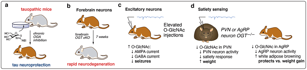 Figure 4: