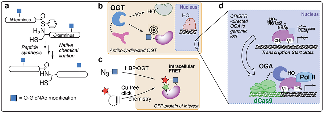 Figure 3: