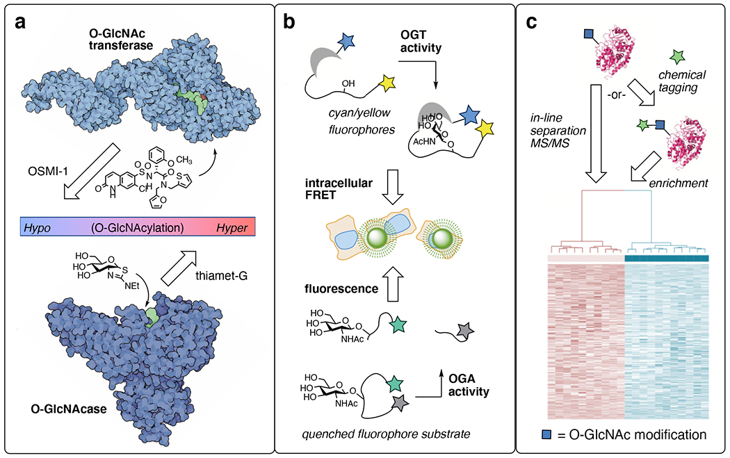 Figure 2: