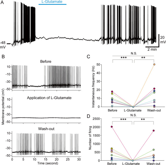 Fig 4