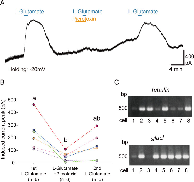 Fig 6