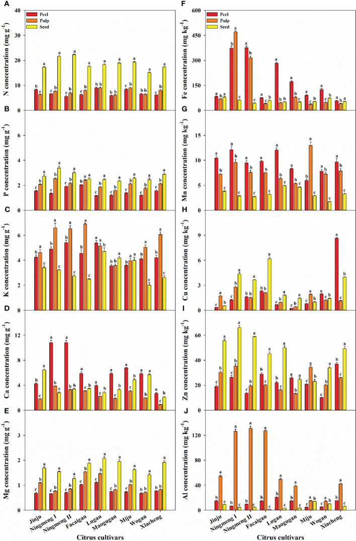 Figure 1