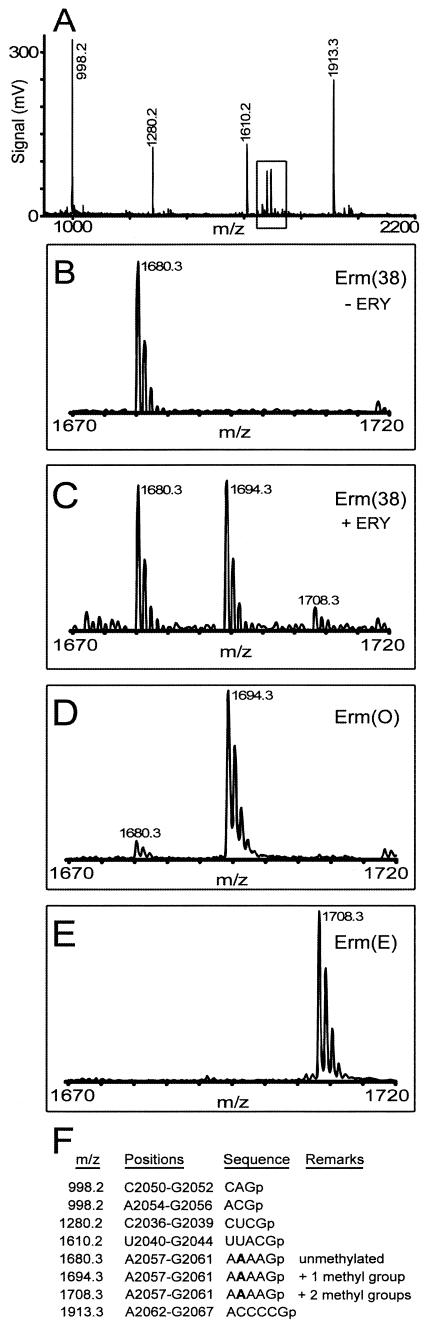 FIG.2.