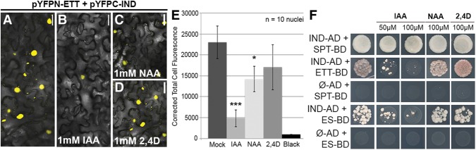 Figure 4.