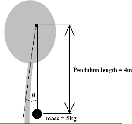 Figure 11.