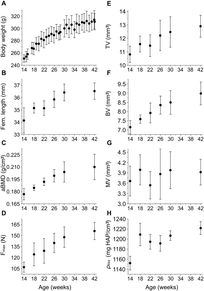 Fig. 2