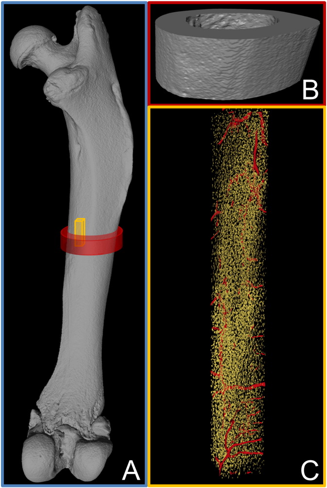 Fig. 1