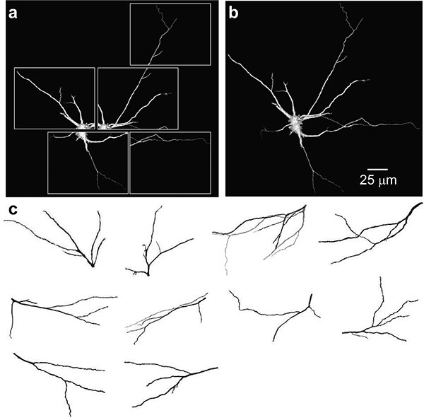 Figure 3.