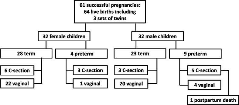 Fig. 3