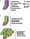 Figure 7