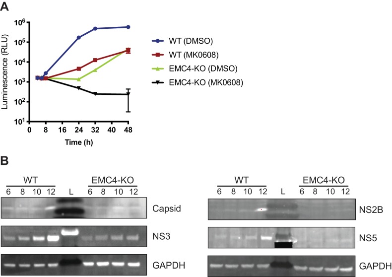 Figure 2—figure supplement 1.