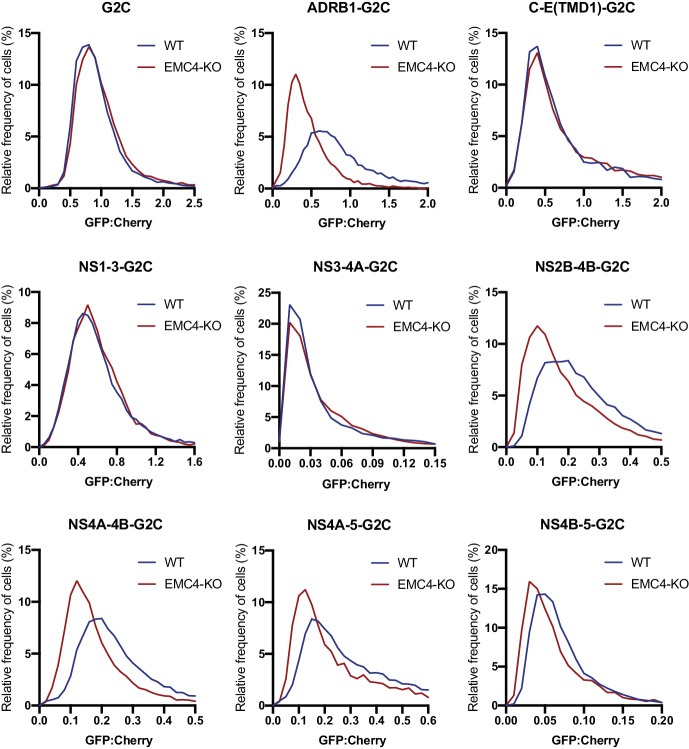 Figure 4—figure supplement 1.