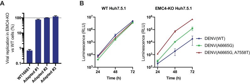 Figure 5—figure supplement 1.