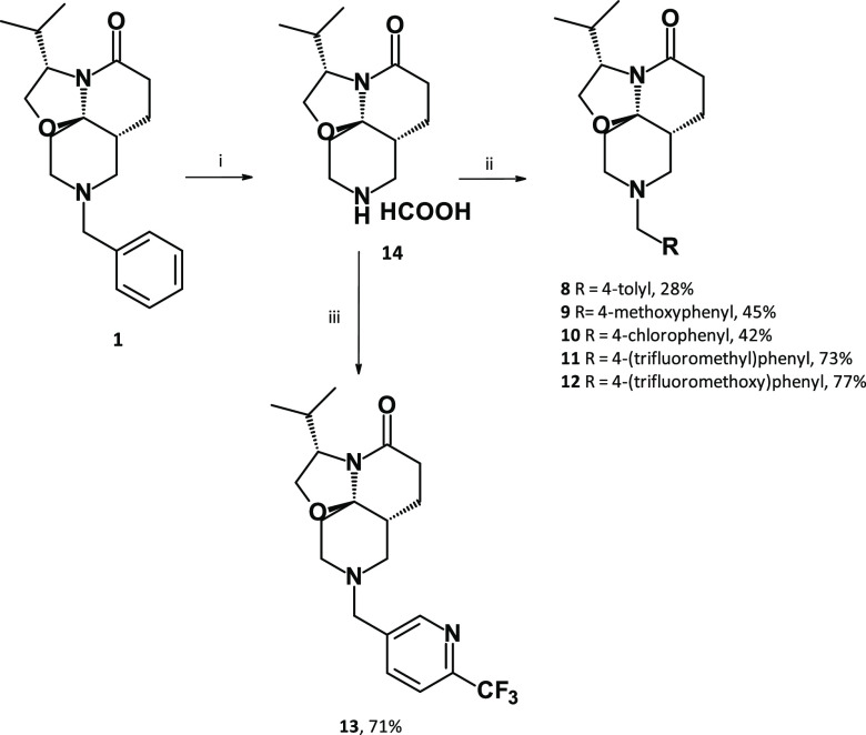 Scheme 2