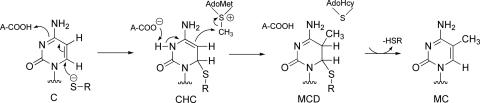 Scheme 3.