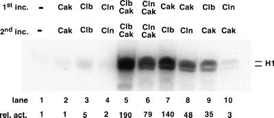 Figure 5