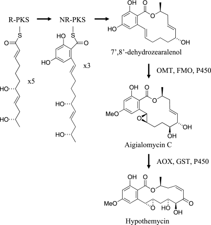 FIG. 4.