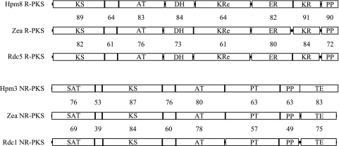 FIG. 6.