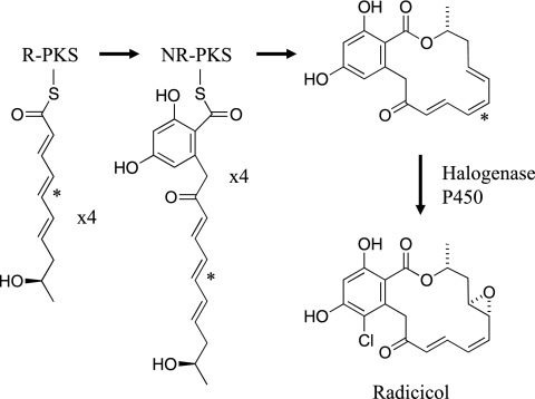 FIG. 5.