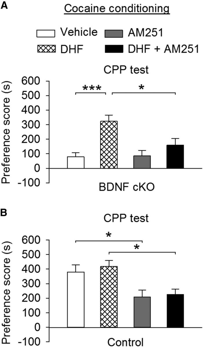 Figure 11.