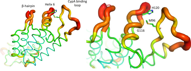 Figure 6.