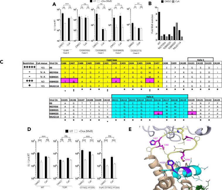 Figure 4.