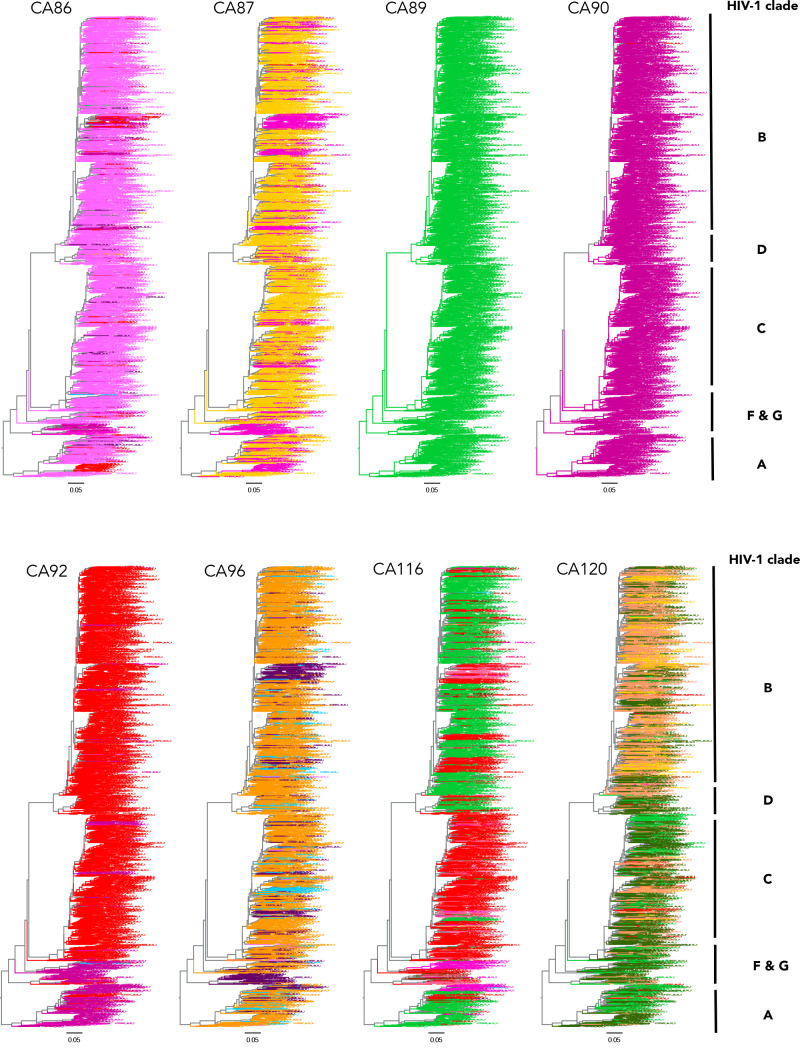 Figure 5—figure supplement 1.