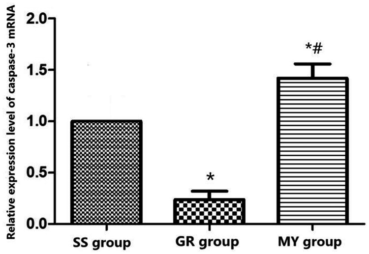 Figure 7.