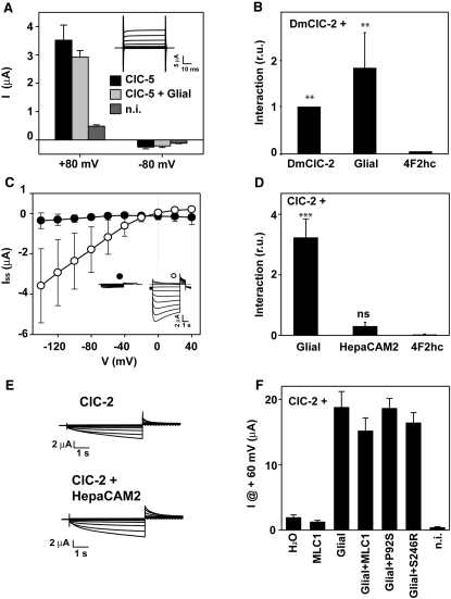 Figure 5