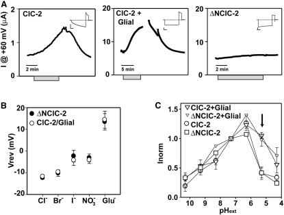 Figure 6