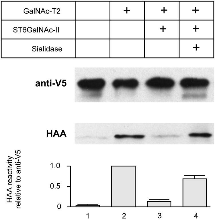 FIGURE 1: