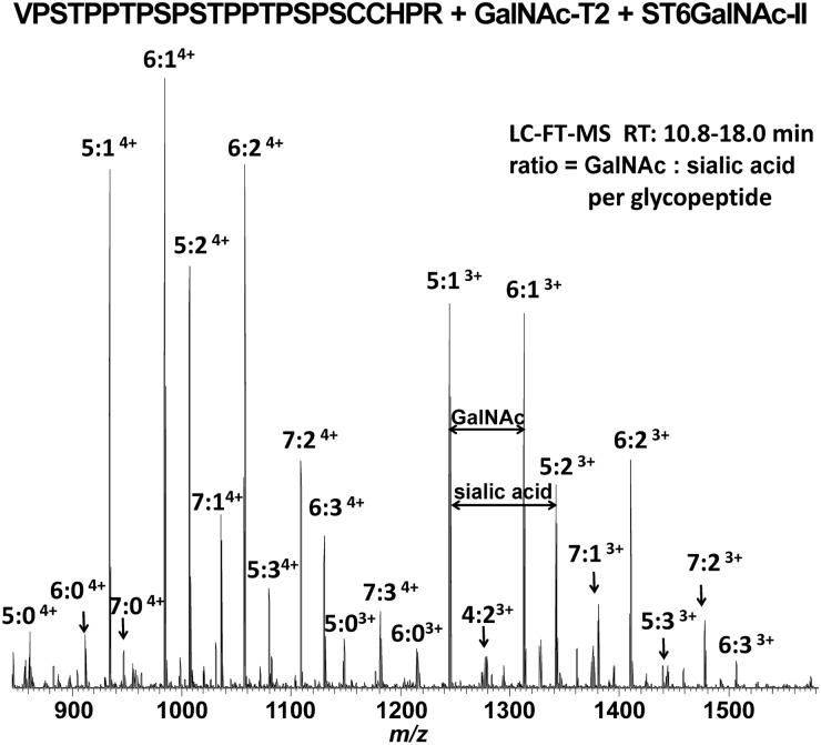 FIGURE 2: