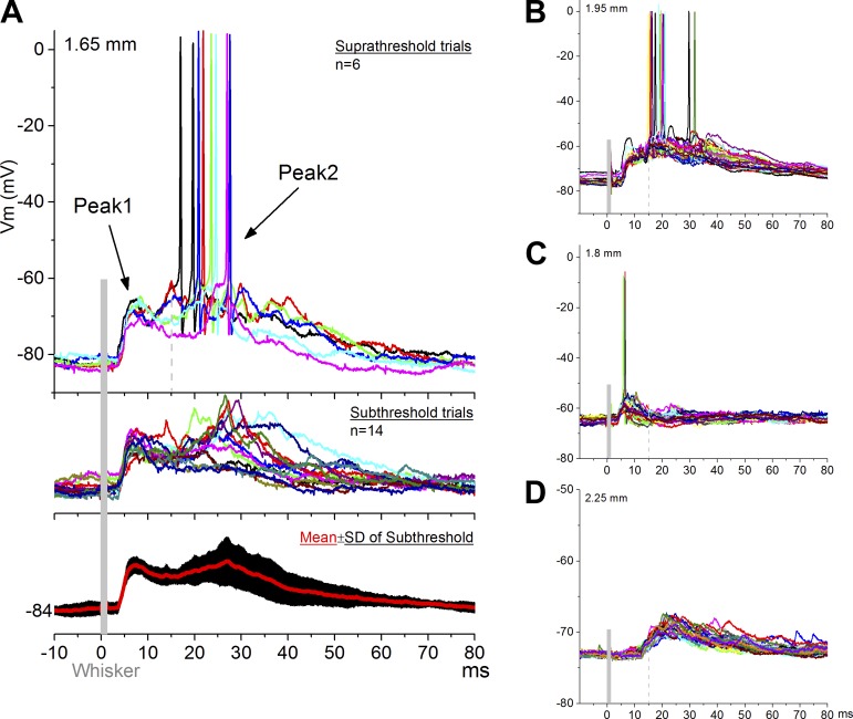 Fig. 2.