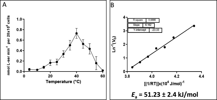 Line graphs depict serine uptake rate per 20 × 10⁶ cells as a function of temperature and the Arrhenius plot of inverse initial velocity against reciprocal temperature. Activation energy is 51.23 ± 2.4 kilojoules per mole.