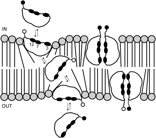 Fig. 5.