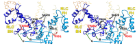 Figure 3—figure supplement 5.