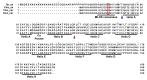 Figure 3—figure supplement 9.