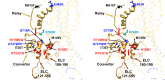 Figure 3—figure supplement 3.