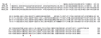 Figure 3—figure supplement 8.