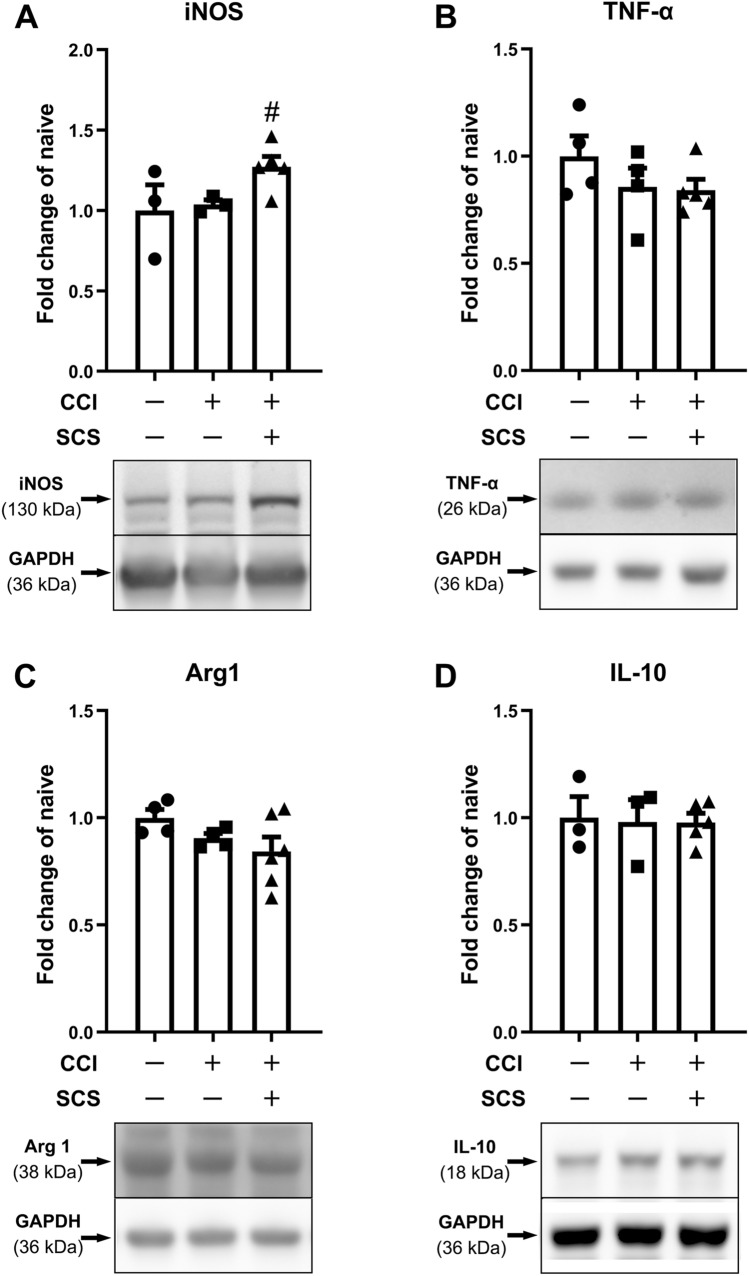 Fig. 4