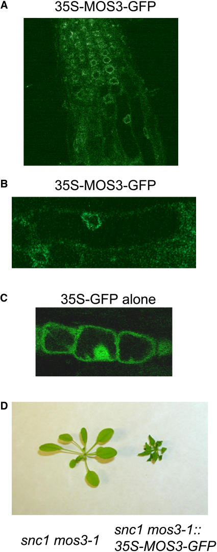 Figure 9.