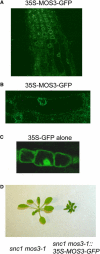 Figure 9.