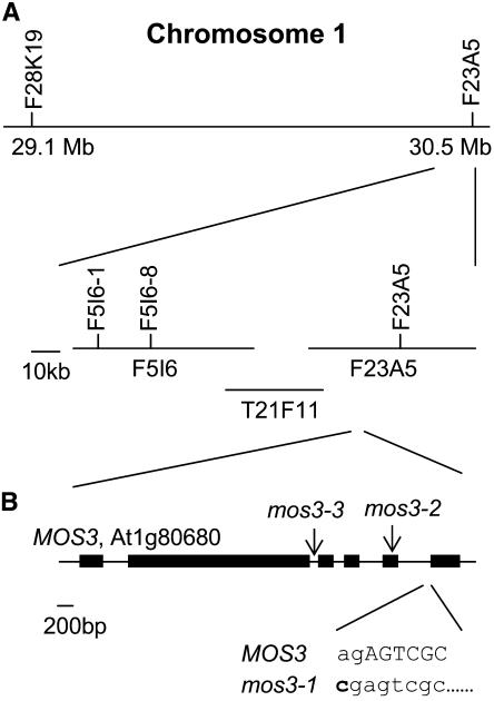 Figure 6.