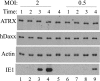 FIG. 6.