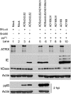 FIG. 7.