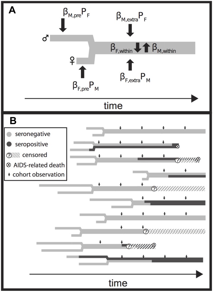 Fig 3