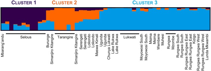 Fig 5