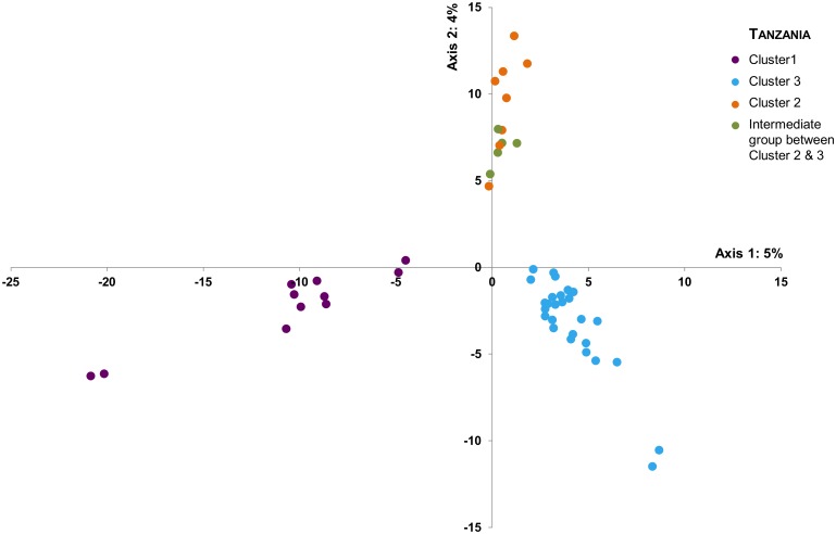 Fig 6