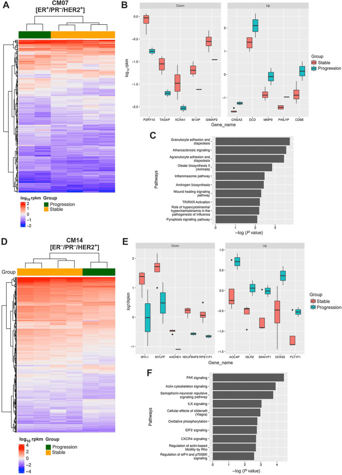 Figure 5. Gene expression analysis of CM07 and CM14 tumors that progressed after combination treatment. A, Heat map of the 226 differentially expressed genes identified between stable and progression samples for CM07. B, The top 5 upregulated and top 5 downregulated differentially expressed genes in CM07 (C) The top canonical pathways for CM07 progressing tumors identified by IPA. D, Heat map of the 447 differentially expressed genes identified between stable and progression samples for CM14. E, The top 5 upregulated and top 5 downregulated differentially expressed genes in CM14. F, The top canonical pathways for CM14 progressing tumors identified by IPA.