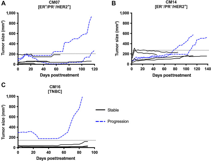 Figure 4. Growth curves of PDX tumors that were stable or progressed. A–C, Growth curve of individual tumors in the AZD1390 and radiation combination group. Solid lines represent tumors that were stable and did not grow after treatment, while blue dashed lines represent tumors that grew back and progressed. Dotted line indicates threshold used to determine stable and progression tumors for each PDX model.